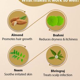 Nimson Almond Hair Oil With Almonds Brahmi & Bhringraj - 500 ml image 3