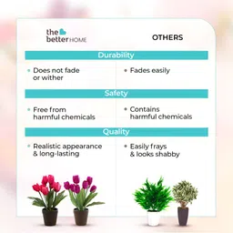 The Better Home Pink & Green 2 Pieces Tulip Core With Pot image 3