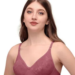 Exotica Lingerie Bra Full Coverage-14