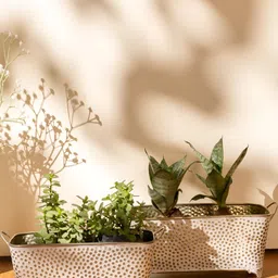 THREADVIBE LIVING White & Yellow Polka Dotted Long Basket Planters-image-36