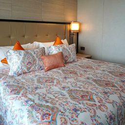 TARA- Sparkling Homes White Printed Pure Cotton 350 TC King Bedsheet Set-2.74 m x 2.74 m-image-64