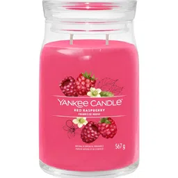 YANKEE CANDLE Red 1 pieces Jar Candle-85