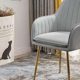 Oakcraft Green & Yellow Velvet Dining Chair-13