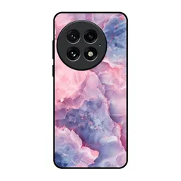 QRIOH Quirky Printed OnePlus 13 Back Case Mobile Accessories-16