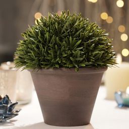 Pure Home and Living Green Non-Hanging Artificial Plant With Pot-16