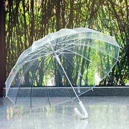 Transparent Umbrella Aesthetic Umbrella-image-12