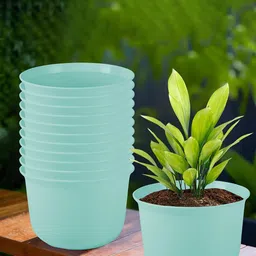 Kuber Industries 12Pcs Blue Textured Planters With Plate-image-60