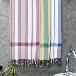 FABINALIV White & Blue 3 Striped Cotton 225 GSM Bath Towel-image-60