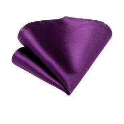 VOICI Men Purple Solid Pocket Squares-image-68