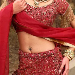 The Front Row Embellished Beads and Stones With Dupatta image 3