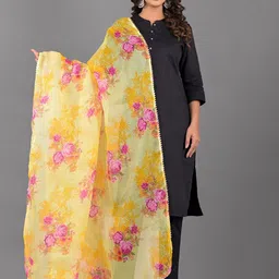 Apratim Printed Dupatta with Gotta Patti-picture-28