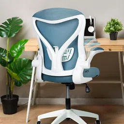 DROGO Teal Green High Back Computer Chair With Mesh & Lumbar Support Study Chair-picture-37
