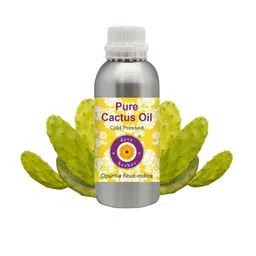 Deve Herbes Pure Cactus Oil Cold PressedFor Split Ends 1250 ml-5