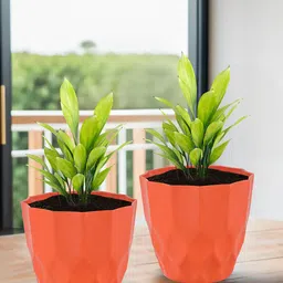 Kuber Industries Orange Colored 6 Pieces Barfi Pattern Durable Plastic Planters-49