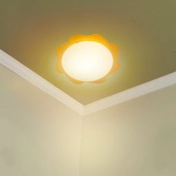 decorativeray Orange Pvc Stylish Flush Mount-picture-5