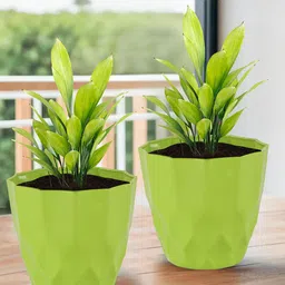 Kuber Industries 2Pc Green Barfi Pattern Durable Plastic Planters-58