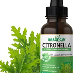 essancia Citronella Essential Oil For Natural Insect Repellent - 30 ML-image-19