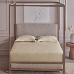 DDecor Jacquard Beige Printed Pure Cotton 300 TC Super King Bedsheet Set - 2.74 m x 2.74 m-picture-36