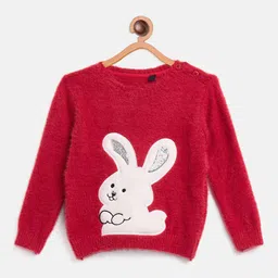 JWAAQ Girls Animal Pullover with Applique Detail-image-75