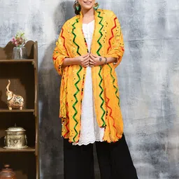swatika Geometric Embroidered Thread Work Chiffon Dupatta image 3