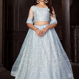 Warthy Ent Embroidered Net Semi-Stitched Lehenga & Unstitched Blouse With Dupatta-picture-14