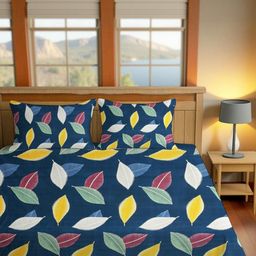 IVAZA Queen Cotton Bedsheets-picture-0