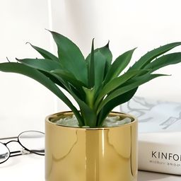 Royaloak Green 1 Pieces Artificial Plant With Pot-image-25