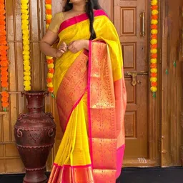 INDIOTSAV Woven Design Zari Banarasi Saree-image-66