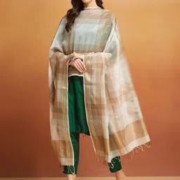 Fabindia Woven Design Cotton Silk Dupatta-picture-6