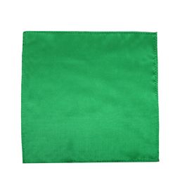 Leonardi Solid Silk Pocket Squares-image-84