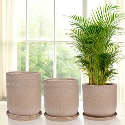 RUBOXA Marble Jaguar 6-Pcs Brown UV-ProtectedPlanters With Tray-28