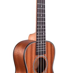 KAD-UKT-B11 (With Online Classes) Concert Ukulele-image-23