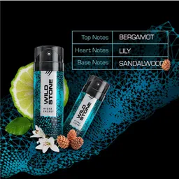 Wild Stone Men Pack of 3 Deodorant - 150 ml Each image 5