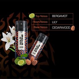 Wild Stone Men Pack of 3 Deodorant - 150 ml Each image 5