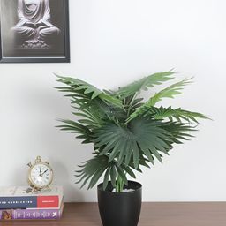 Home Bloom Green & Black Artificial Fan Palm Plant With Pot-0