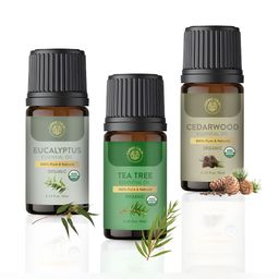 Carno Calm Set Of 3 Green Eucalyptus Tea Tree & Cedarwood Essential Oils -10 ml Each-1