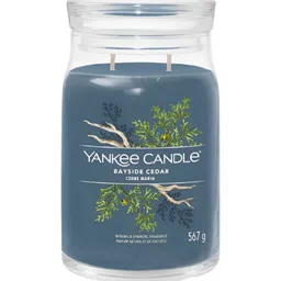 YANKEE CANDLE Blue 1 pieces Jar Candle-image-56