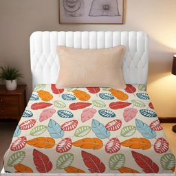 IVAZA Cream Microfiber 240 TC Bedsheets-image-24