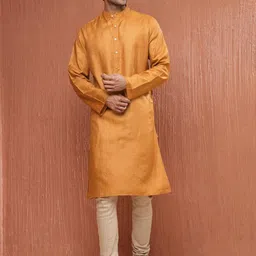Fabindia Men Flared Sleeves Kurta-picture-29