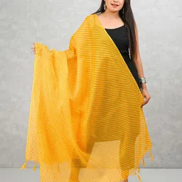 Apratim Leheriya Printed Dupatta-7