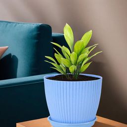 Kuber Industries Pink & Blue 8 Pieces Textured Flower Pots with Tray-26