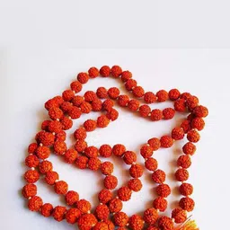 Divine souvenirs Unisex Rudraksh Beaded Minimal Chain-32