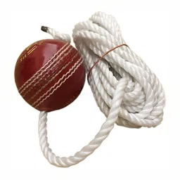 HackerX Printed Leather Cricket Hanging Ball-33