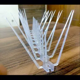 Bird Spike-picture-16