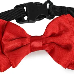 Bow Tie for Dog, Cat-23
