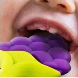 bouncing bliss PURPLE GRAPES FRUIT SHAPE TEETHER Teether Teether image 5