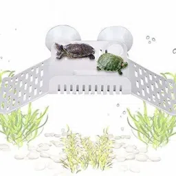 Product Multifunctional Basking Area/Stand Reptiles Bask Climbing Crawling Dock Platform with Sucking Disk for Aquarium Fish Tank Decor for Turtle Frog and Pets Aquarium Tool-image-39