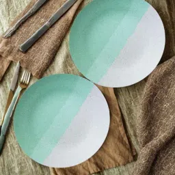 freakway Set of 2 Ceramic Dinner Plates-picture-40