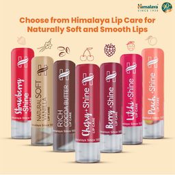 Himalaya SPF 30 Sun Protect Orange Lip Care 4.5 g image 2