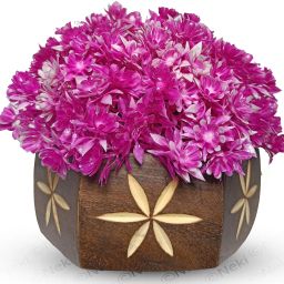 Bonsai Wild Artificial Plant with Pot-image-64